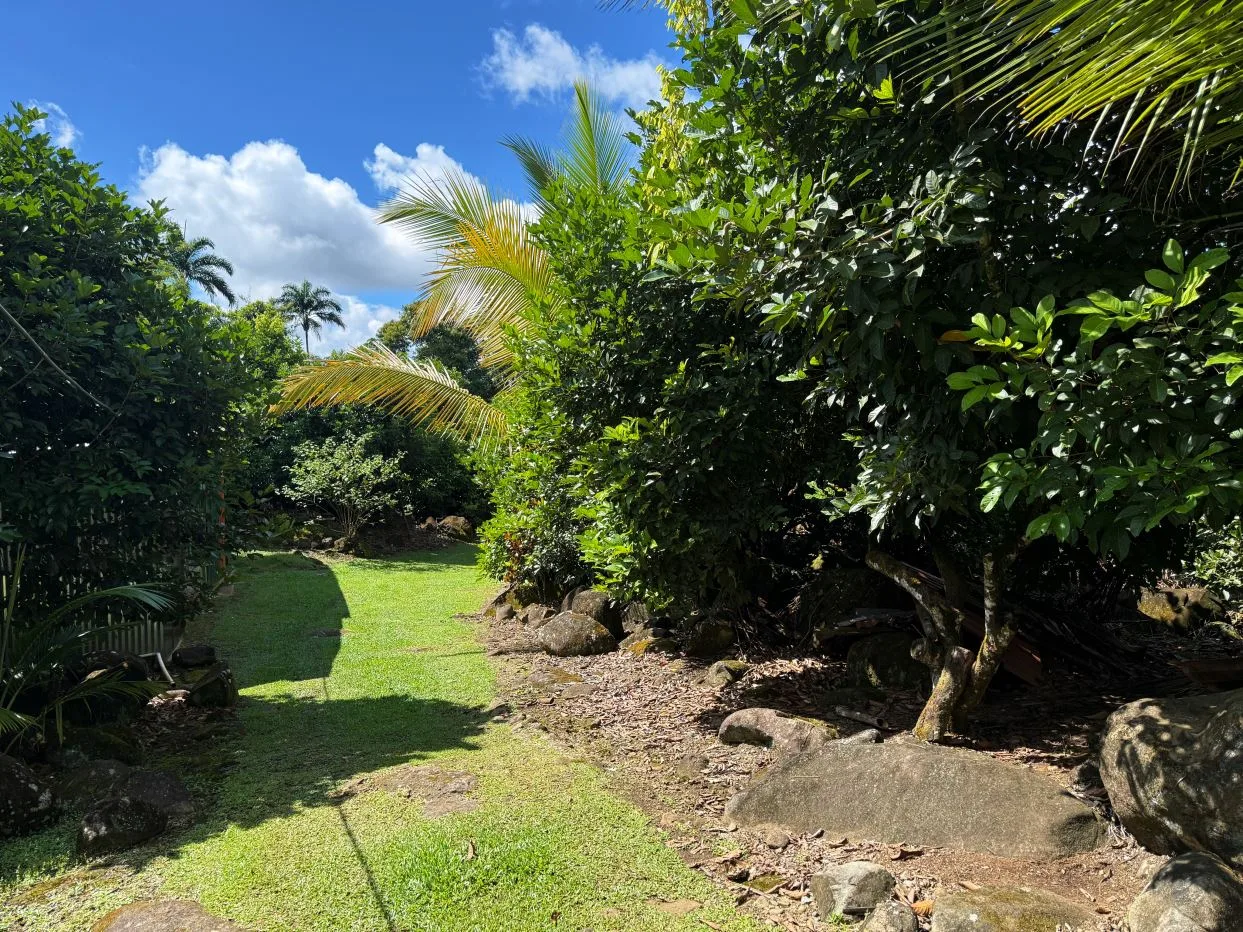 Income-Producing Tropical Farm for Sale in Pérez Zeledón, Costa Rica, photo 6