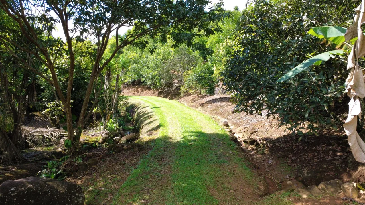 Income-Producing Tropical Farm for Sale in Pérez Zeledón, Costa Rica, photo 8