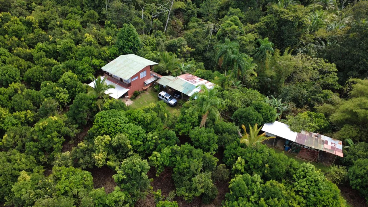 Income-Producing Tropical Farm for Sale in Pérez Zeledón, Costa Rica, photo 9