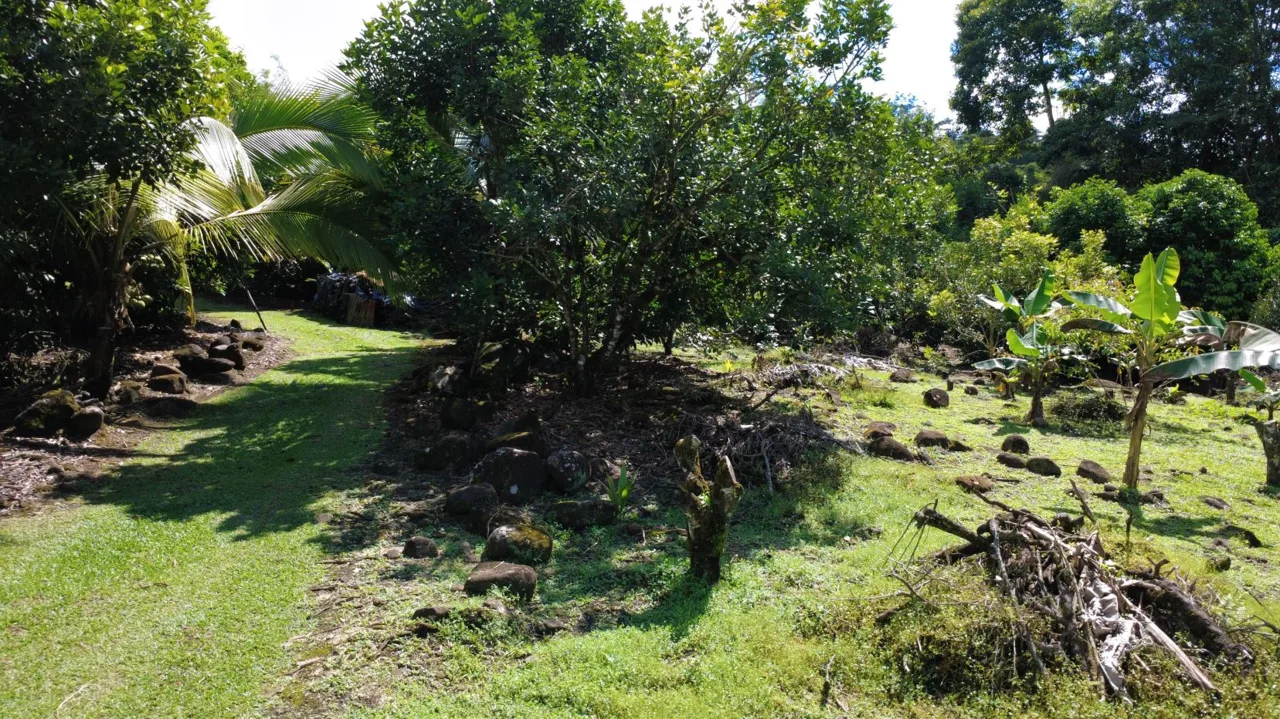Income-Producing Tropical Farm for Sale in Pérez Zeledón, Costa Rica, photo 10