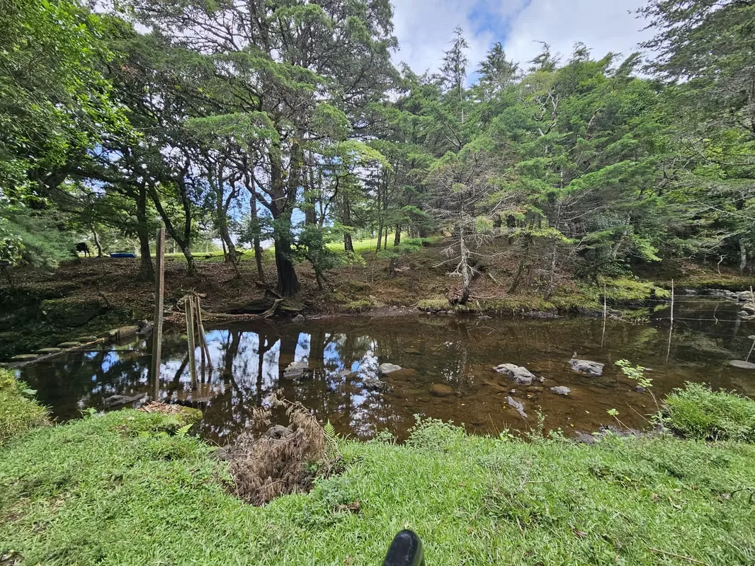 MA Asesorías Vende Espectacular Propiedad en San Rafael, Heredia., photo 13