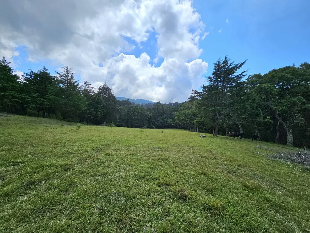 MA Asesorías Vende Espectacular Propiedad en San Rafael, Heredia., photo 15