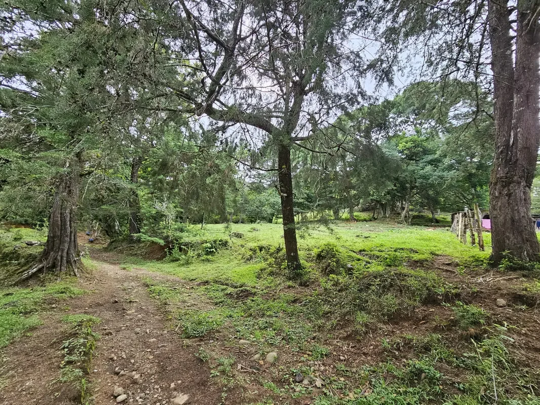 MA Asesorías Vende Espectacular Propiedad en San Rafael, Heredia., photo 3