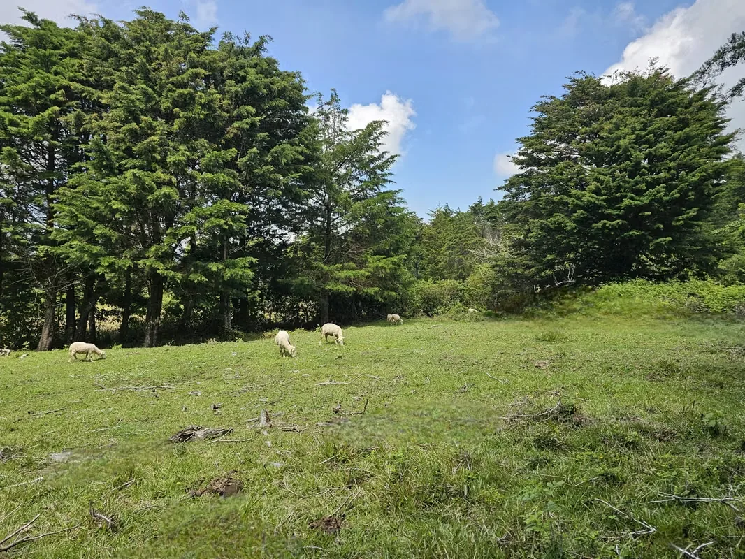 MA Asesorías Vende Espectacular Propiedad en San Rafael, Heredia., photo 8