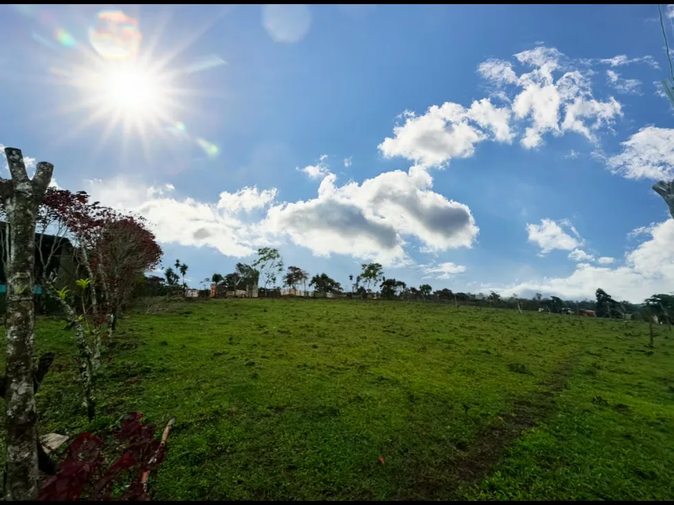 Amplio lote de 7.000 m² ubicado en una zona tranquila y rodeada de naturaleza. Muy cerca de la Ruta 10, con fácil acceso ..., photo 4
