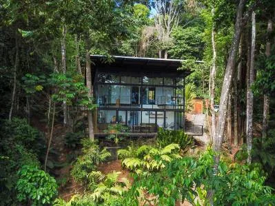 Retiro en la jungla con entorno boscoso y buen historial de alquileres en Lagunas., photo 2