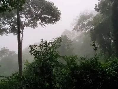 Retiro en la jungla con entorno boscoso y buen historial de alquileres en Lagunas., photo 8