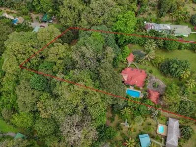 RIVERFRONT PROPERTY WITH 3 BEDROOM HOME AND HUGE GARDEN AREA, photo 29