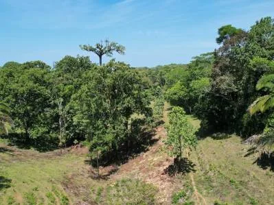 Exclusivo Oasis en Ojochal: Un Refugio Único de 3,8 Hectáreas, photo 4