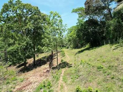 Exclusivo Oasis en Ojochal: Un Refugio Único de 3,8 Hectáreas, photo 5