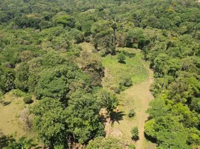 Exclusivo Oasis en Ojochal: Un Refugio Único de 3,8 Hectáreas, photo 6