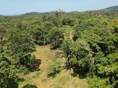 Exclusivo Oasis en Ojochal: Un Refugio Único de 3,8 Hectáreas, photo 8