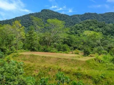 Caracara Ridge — Lote n.º 22: Un terreno totalmente privado, con vistas a la montaña y a la selva.