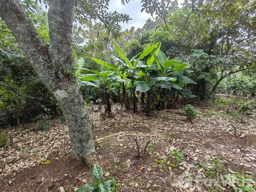 Land for Sale in San Rafael, Heredia for $692,000, photo 7