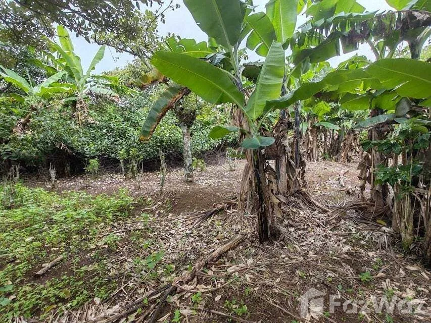Land for Sale in San Rafael, Heredia for $692,000, photo 8