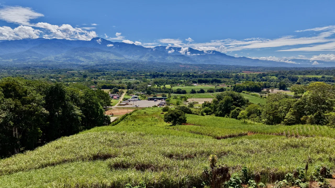 SE VENDE PROPIEDAD COMERCIAL EN REPUNTA CON EXCELENTE FRENTE A LA INTERAMERICANA, photo 8