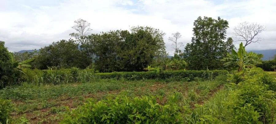 Lote en Venta en San Carlos, Alajuela. RAH 24-17 - Venta en San Carlos