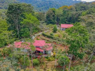 DOS casas Baru, envueltas en un espectacular y sereno entorno de jungla montañosa., photo 5