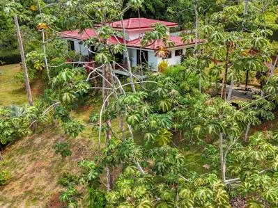 DOS casas Baru, envueltas en un espectacular y sereno entorno de jungla montañosa., photo 6