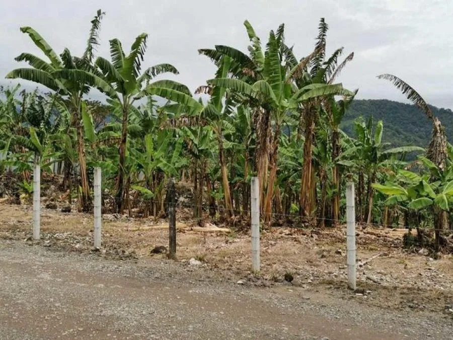 Venta de Lote en La Campiña, Turrialba. - Venta en Turrialba