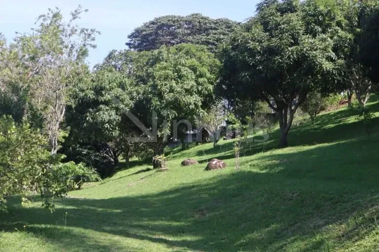 Venta de lote, Colinas de Montealegre, photo 2