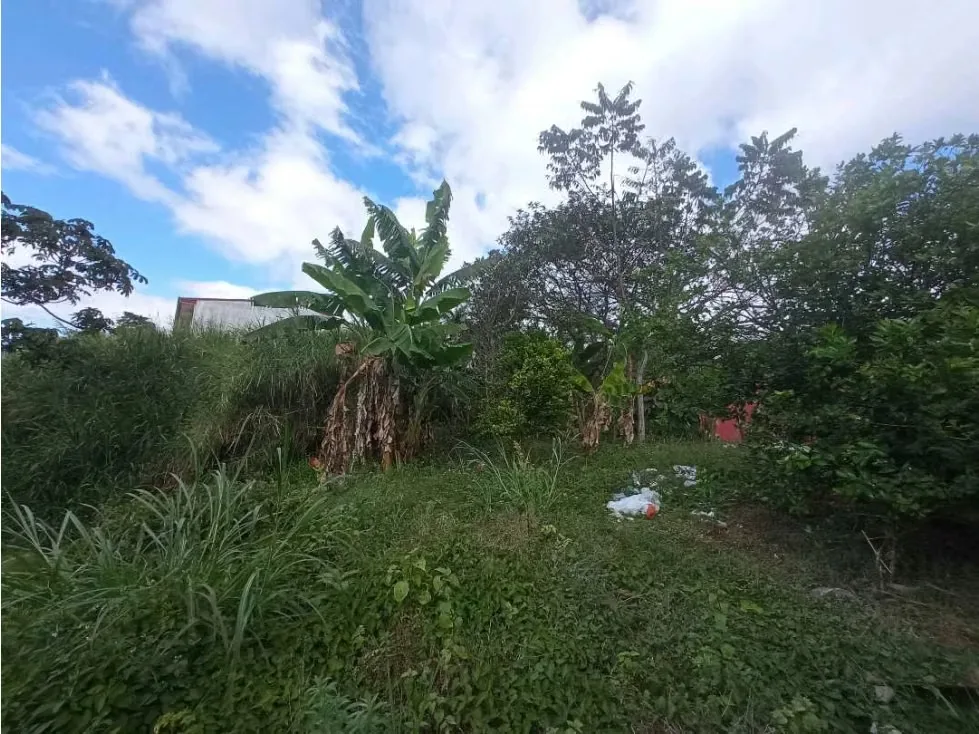 Lote en venta, Curridabat Guayabos Res cerrado REBAJADO 5PIV, photo 3