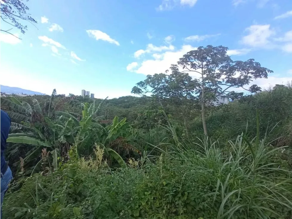 Lote en venta, Curridabat Guayabos Res cerrado REBAJADO 5PIV, photo 5
