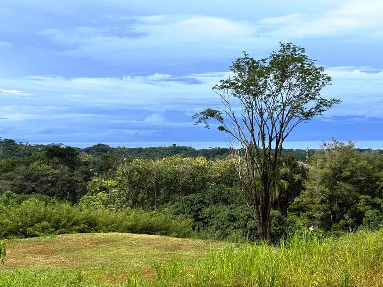 Prime Ocean View Development Property in Downtown Uvita, photo 11