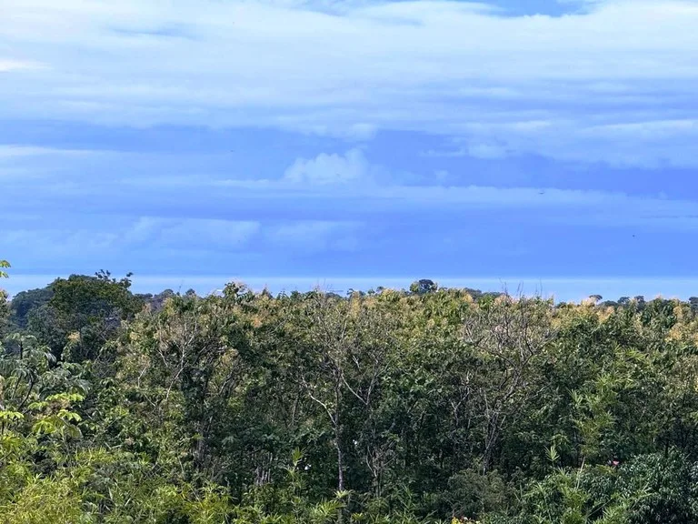 Prime Ocean View Development Property in Downtown Uvita, photo 12