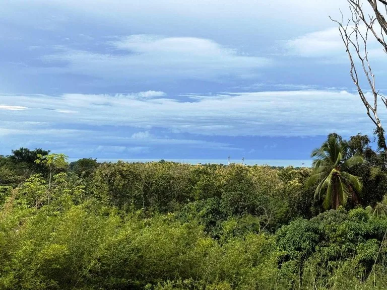 Prime Ocean View Development Property in Downtown Uvita, photo 13