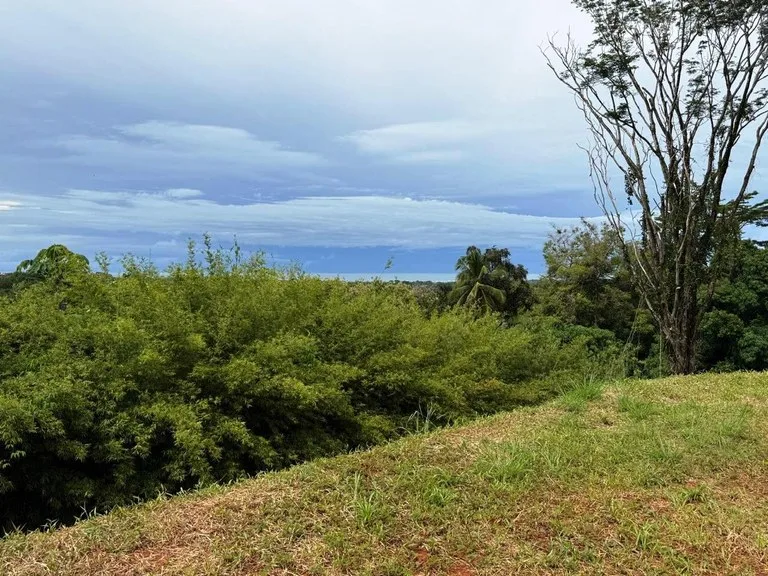 Prime Ocean View Development Property in Downtown Uvita, photo 14