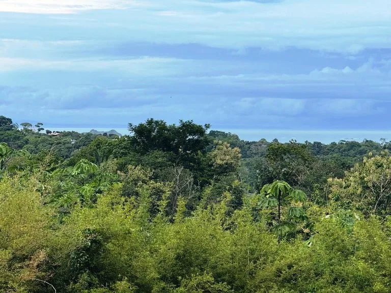 Prime Ocean View Development Property in Downtown Uvita, photo 5