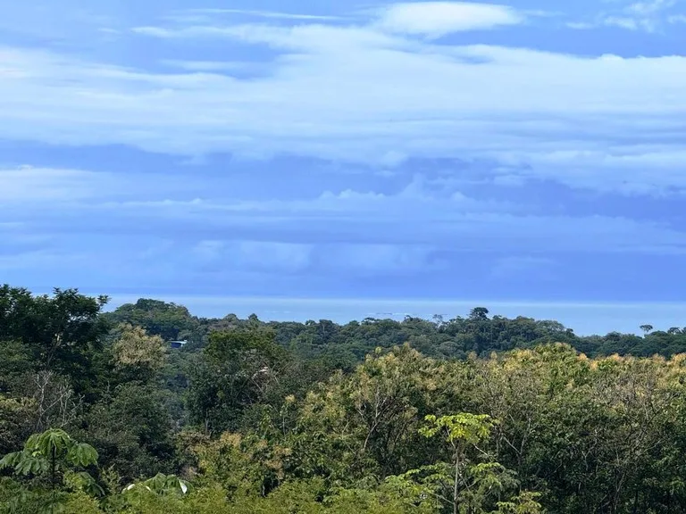 Prime Ocean View Development Property in Downtown Uvita, photo 6