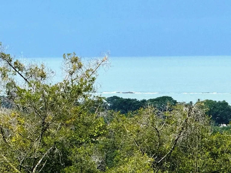 Prime Ocean View Development Property in Downtown Uvita, photo 9
