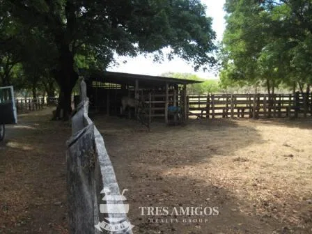Rancho Rio Blanco - PRICE REDUCED BY 50%