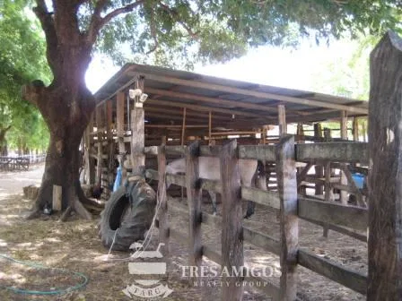 Rancho Rio Blanco - PRICE REDUCED BY 50%, photo 2