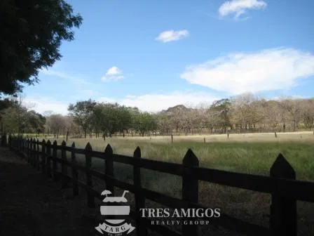 Rancho Rio Blanco - PRICE REDUCED BY 50%, photo 6