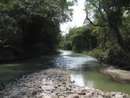 Rancho Rio Blanco - PRICE REDUCED BY 50%, photo 9