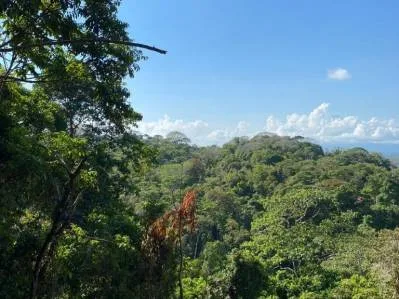 Stunning Ocean view & Mountain  view property, photo 8
