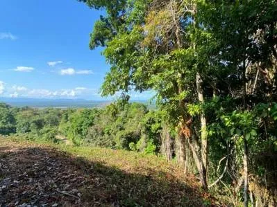Stunning Ocean view & Mountain  view property, photo 9