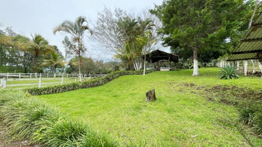 Venta finca Puriscal. RAH 26-6 NR - Venta en Puriscal, photo 14