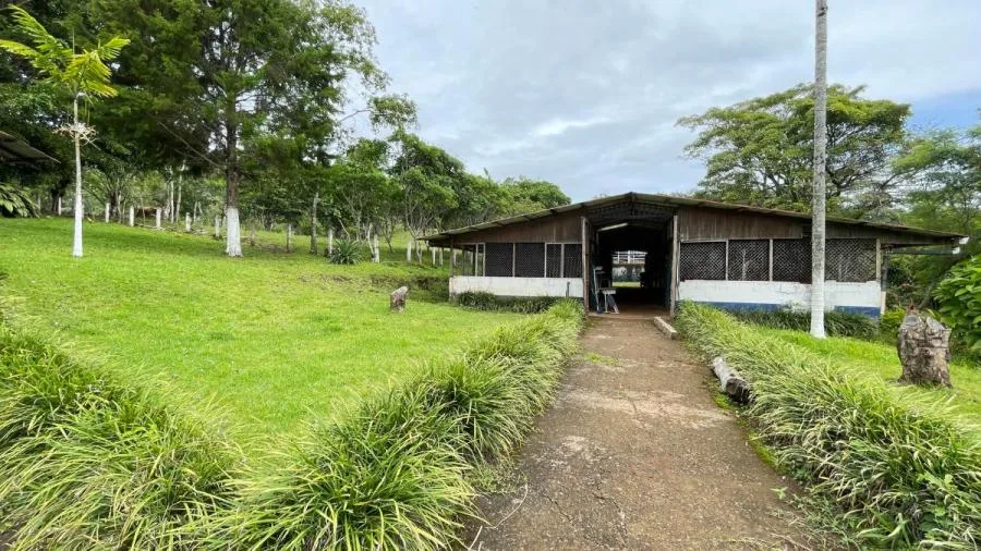 Venta finca Puriscal. RAH 26-6 NR - Venta en Puriscal, photo 15