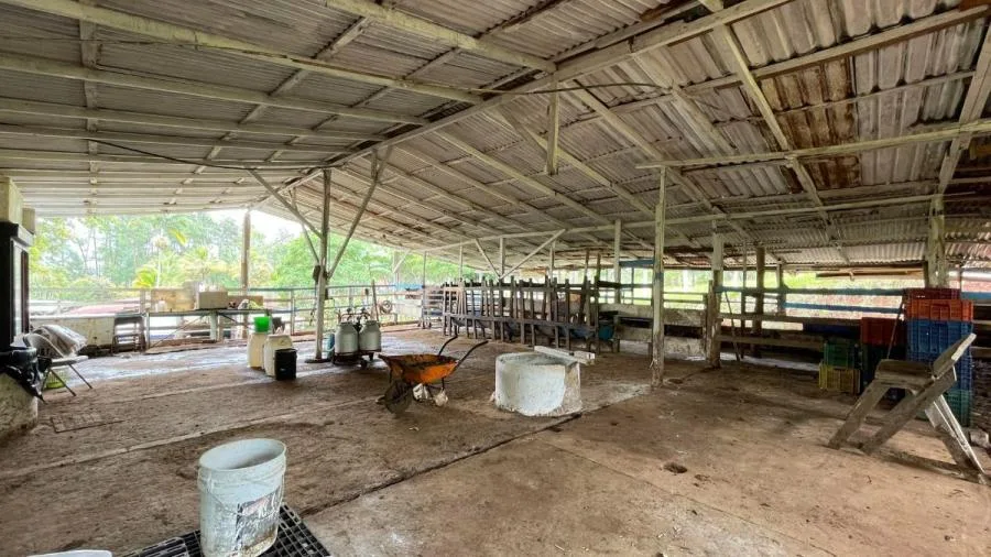 Venta finca Puriscal. RAH 26-6 NR - Venta en Puriscal, photo 5