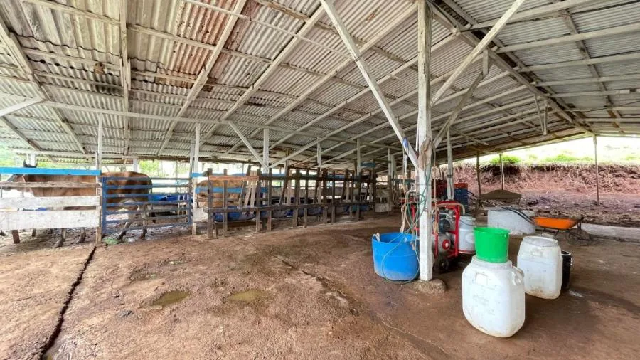 Venta finca Puriscal. RAH 26-6 NR - Venta en Puriscal, photo 6