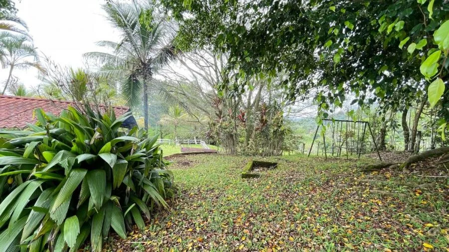 Venta finca Puriscal. RAH 26-6 NR - Venta en Puriscal, photo 9
