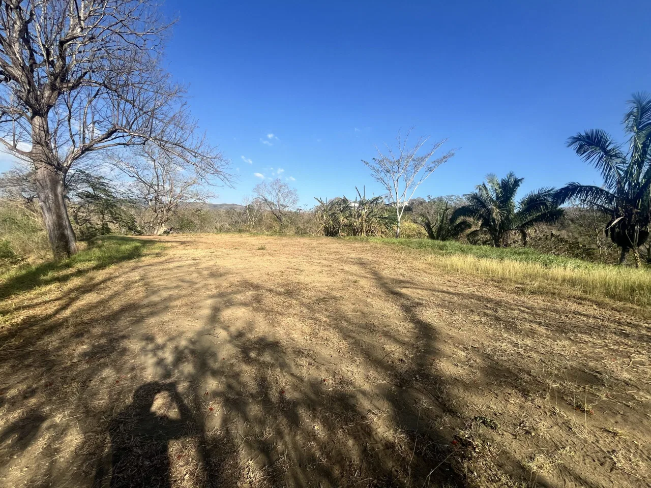 FINCA TARANTELA