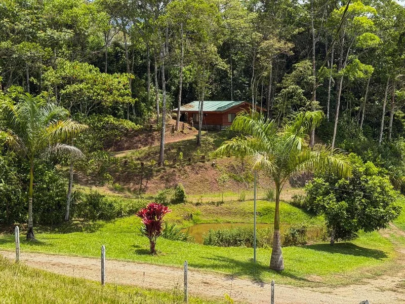 9 Bed Single Family Homes For Sale in Perez Zeledon, photo 2