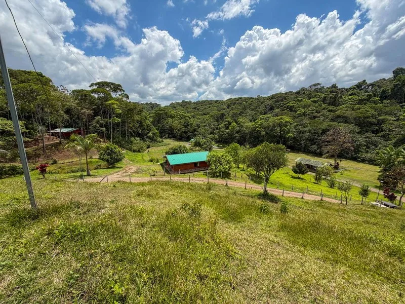 9 Bed Single Family Homes For Sale in Perez Zeledon, photo 3