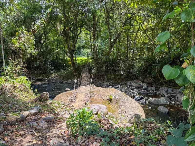9 Bed Single Family Homes For Sale in Perez Zeledon, photo 5