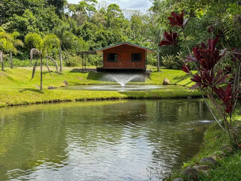 9 Bed Single Family Homes For Sale in Perez Zeledon, photo 10